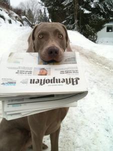 Oban henter avisen